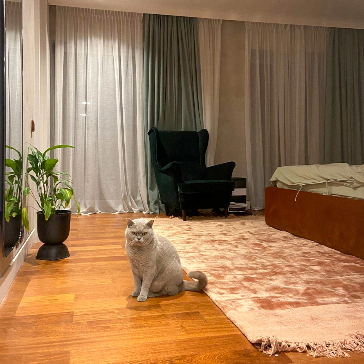 Perdele si Draperii La Comanda Perdele si Draperii La Comanda